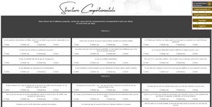 Application WEB de paramétrage et saisie des questionnaires de profilage. Génération des comptes rendus avant interprétation. Compatible navigateur de bureau et mobile.<br>Réalisé avec Webdev pour Delta Thérapie.